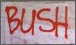 Bush_thumb.jpg
