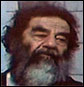 saddam.jpg
