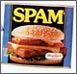 spam.jpg