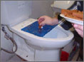 testingtoilet.jpg